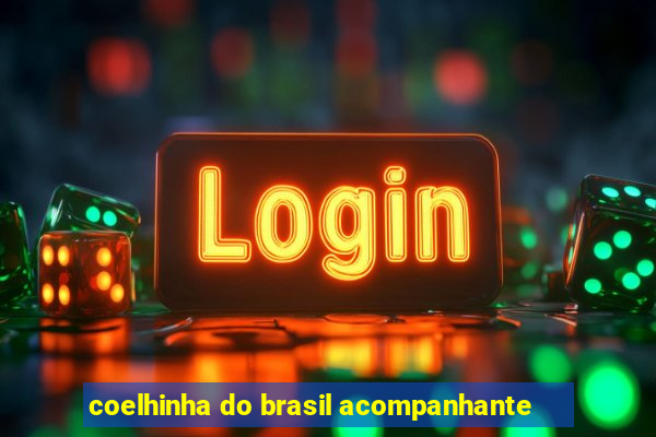 coelhinha do brasil acompanhante